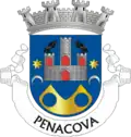 Coat of arms of Penacova municipality, Portugal