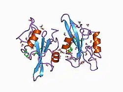 1a1e: C-SRC (SH2 DOMAIN) COMPLEXED WITH ACE-PHOSPHOTYR-GLU-(3-BUTYLPIPERIDINE)