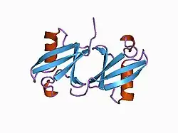1aar: STRUCTURE OF A DIUBIQUITIN CONJUGATE AND A MODEL FOR INTERACTION WITH UBIQUITIN CONJUGATING ENZYME (E2)