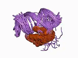 1ahd: DETERMINATION OF THE NMR SOLUTION STRUCTURE OF AN ANTENNAPEDIA HOMEODOMAIN-DNA COMPLEX