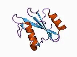 1ayd: CRYSTAL STRUCTURES OF PEPTIDE COMPLEXES OF THE AMINO-TERMINAL SH2 DOMAIN OF THE SYP TYROSINE PHOSPHATASE