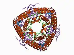 1ayp: A probe molecule composed of seventeen percent of total diffracting matter gives correct solutions in molecular replacement