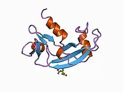 1b1e: CRYSTAL STRUCTURE OF HUMAN ANGIOGENIN VARIANT K40Q