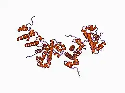 1b4f: OLIGOMERIC STRUCTURE OF THE HUMAN EPHB2 RECEPTOR SAM DOMAIN