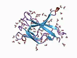 1bfs: STRUCTURE OF NF-KB P50 HOMODIMER BOUND TO A KB SITE