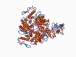 1c4z: STRUCTURE OF E6AP: INSIGHTS INTO UBIQUITINATION PATHWAY