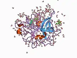1c5w: STRUCTURAL BASIS FOR SELECTIVITY OF A SMALL MOLECULE, S1-BINDING, SUB-MICROMOLAR INHIBITOR OF UROKINASE TYPE PLASMINOGEN ACTIVATOR