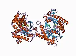 1cju: COMPLEX OF GS-ALPHA WITH THE CATALYTIC DOMAINS OF MAMMALIAN ADENYLYL CYCLASE: COMPLEX WITH BETA-L-2',3'-DIDEOXYATP AND MG