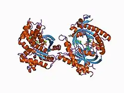1cul: COMPLEX OF GS-ALPHA WITH THE CATALYTIC DOMAINS OF MAMMALIAN ADENYLYL CYCLASE: COMPLEX WITH 2',5'-DIDEOXY-ADENOSINE 3'-TRIPHOSPHATE AND MG