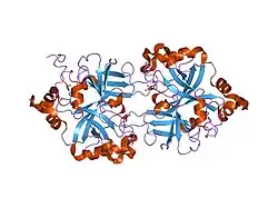 1dle: FACTOR B SERINE PROTEASE DOMAIN
