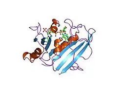1dlr: METHOTREXATE-RESISTANT VARIANTS OF HUMAN DIHYDROFOLATE REDUCTASE WITH SUBSTITUTION OF LEUCINE 22: KINETICS, CRYSTALLOGRAPHY AND POTENTIAL AS SELECTABLE MARKERS
