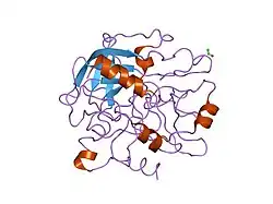 1dm4: SER195ALA MUTANT OF HUMAN THROMBIN COMPLEXED WITH FIBRINOPEPTIDE A (7-16)