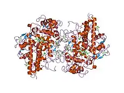 1dnw: HUMAN MYELOPEROXIDASE-CYANIDE-THIOCYANATE COMPLEX