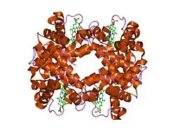 1dxt: HIGH-RESOLUTION X-RAY STUDY OF DEOXY RECOMBINANT HUMAN HEMOGLOBINS SYNTHESIZED FROM BETA-GLOBINS HAVING MUTATED AMINO TERMINI