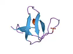 1e6g: A-SPECTRIN SH3 DOMAIN A11V, V23L, M25I, V53I, V58L MUTANT
