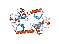 1f2l: CRYSTAL STRUCTURE OF CHEMOKINE DOMAIN OF FRACTALKINE