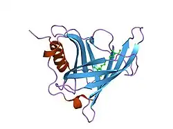 1fen: CRYSTALLOGRAPHIC STUDIES ON COMPLEXES BETWEEN RETINOIDS AND PLASMA RETINOL-BINDING PROTEIN
