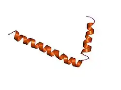 1fjk: NMR Solution Structure of Phospholamban (C41F)