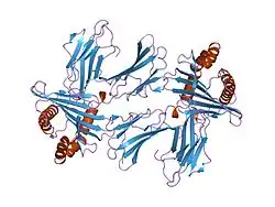 1hsa: THE THREE-DIMENSIONAL STRUCTURE OF HLA-B27 AT 2.1 ANGSTROMS RESOLUTION SUGGESTS A GENERAL MECHANISM FOR TIGHT PEPTIDE BINDING TO MHC