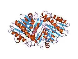 1ime: STRUCTURAL STUDIES OF METAL BINDING BY INOSITOL MONOPHOSPHATASE: EVIDENCE FOR TWO-METAL ION CATALYSIS