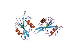 1is0: Crystal Structure of a Complex of the Src SH2 Domain with Conformationally Constrained Peptide Inhibitor