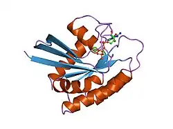 1jah: H-RAS P21 PROTEIN MUTANT G12P, COMPLEXED WITH GUANOSINE-5'-[BETA,GAMMA-METHYLENE] TRIPHOSPHATE AND MAGNESIUM