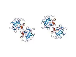 1jt7: Human Acidic Fibroblast Growth Factor. 141 Amino Acid Form with Amino Terminal His Tag AND LEU 44 REPLACED BY PHE AND LEU 73 REPLACED BY VAL AND VAL 109 REPLACED BY LEU (L44F/L73V/V109L)