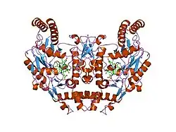 1k2u: Structure of rat brain nNOS heme domain complexed with S-ethyl-N-[4-(trifluoromethyl)phenyl] isothiourea