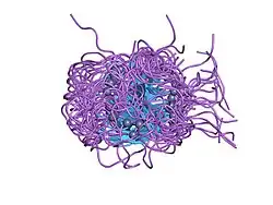 1kbf: Solution Structure of the Cysteine-Rich C1 Domain of Kinase Suppressor of Ras