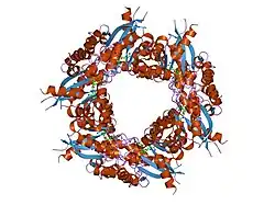 1kr2: CRYSTAL STRUCTURE OF HUMAN NMN/NAMN ADENYLYL TRANSFERASE COMPLEXED WITH TIAZOFURIN ADENINE DINUCLEOTIDE (TAD)