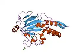 1mk2: SMAD3 SBD complex
