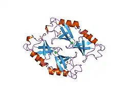 1ndd: STRUCTURE OF NEDD8