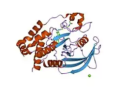 1nwl: Crystal structure of the PTP1B complexed with SP7343-SP7964, a pTyr mimetic