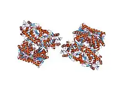 1o00: Human mitochondrial aldehyde dehydrogenase complexed with NAD+ and Mg2+ showing dual NAD(H) conformations