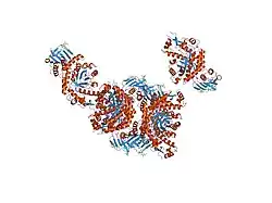1o7a: HUMAN BETA-HEXOSAMINIDASE B