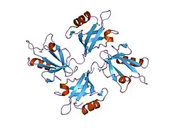 1obz: CRYSTAL STRUCTURE OF THE COMPLEX OF THE PDZ TANDEM OF SYNTENIN WITH AN INTERLEUKIN 5 RECEPTOR ALPHA PEPTIDE.