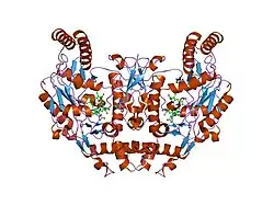 1p6i: Rat neuronal NOS heme domain with (4S)-N-(4-amino-5-[aminoethyl]aminopentyl)-N'-nitroguanidine bound
