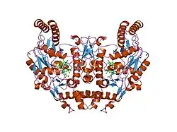 1p6k: Rat neuronal NOS D597N mutant heme domain with L-N(omega)-nitroarginine-2,4-L-diaminobutyric amide bound