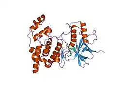 1pmn: Crystal structure of JNK3 in complex with an imidazole-pyrimidine inhibitor