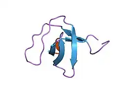 1pwt: THERMODYNAMIC ANALYSIS OF ALPHA-SPECTRIN SH3 AND TWO OF ITS CIRCULAR PERMUTANTS WITH DIFFERENT LOOP LENGTHS: DISCERNING THE REASONS FOR RAPID FOLDING IN PROTEINS