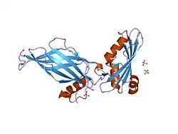 1pzd: Structural Identification of a conserved appendage domain in the carboxyl-terminus of the COPI gamma-subunit.