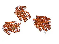 1s8c: Crystal structure of human heme oxygenase in a complex with biliverdine