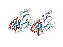 1s9v: Crystal structure of HLA-DQ2 complexed with deamidated gliadin peptide