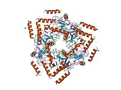 1sl6: Crystal Structure of a fragment of DC-SIGNR (containing the carbohydrate recognition domain and two repeats of the neck) complexed with Lewis-x.