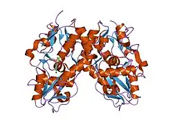 1syi: X-RAY STRUCTURE OF THE Y702F MUTANT OF THE GLUR2 LIGAND-BINDING CORE (S1S2J) IN COMPLEX WITH (S)-CPW399 AT 2.1 A RESOLUTION.