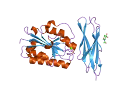 1t0p: Structural Basis of ICAM recognition by integrin alpahLbeta2 revealed in the complex structure of binding domains of ICAM-3 and alphaLbeta2 at 1.65 A