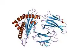 1t1w: Structural basis for degenerate recognition of HIV peptide variants by cytotoxic lymphocyte, variant SL9-3F6I8V