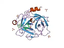1t32: A Dual Inhibitor of the Leukocyte Proteases Cathepsin G and Chymase with Therapeutic Efficacy in Animals Models of Inflammation