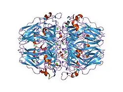1t61: crystal structure of collagen IV NC1 domain from placenta basement membrane