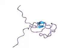 1tbn: NMR STRUCTURE OF A PROTEIN KINASE C-G PHORBOL-BINDING DOMAIN, MINIMIZED AVERAGE STRUCTURE